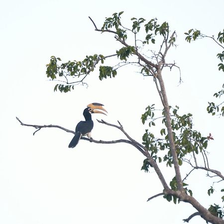 Pelican View Cottages Kataragama Eksteriør billede