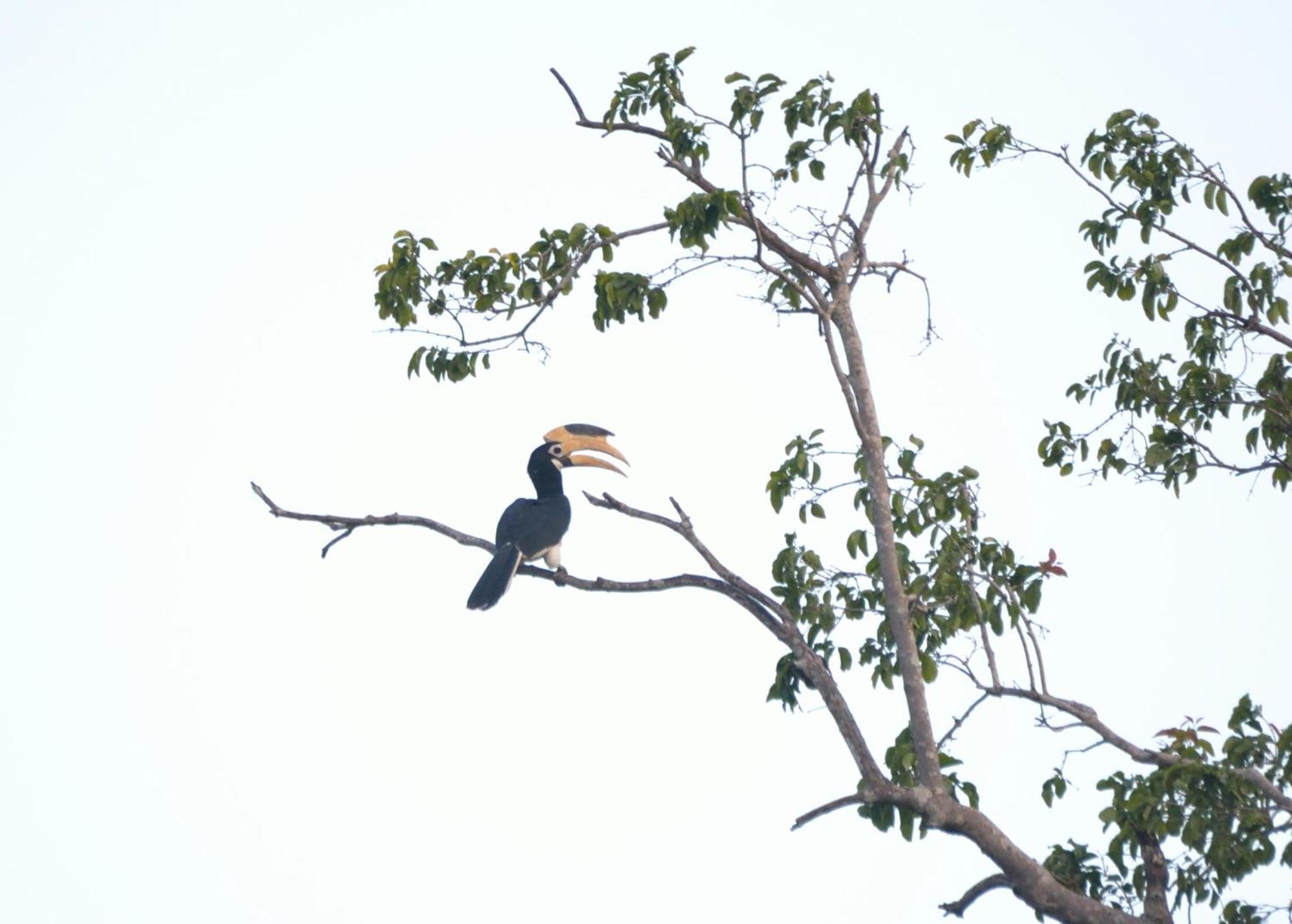 Pelican View Cottages Kataragama Eksteriør billede
